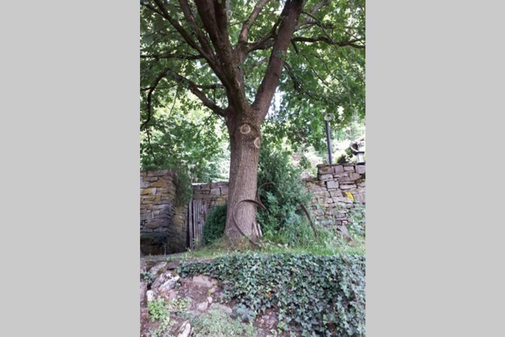 Eine Gemuetliche Ferienwohnung Mit Garten バート・カールスハーフェン エクステリア 写真