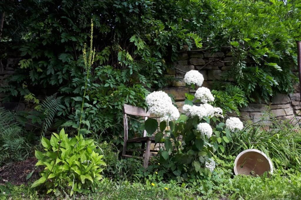 Eine Gemuetliche Ferienwohnung Mit Garten バート・カールスハーフェン エクステリア 写真